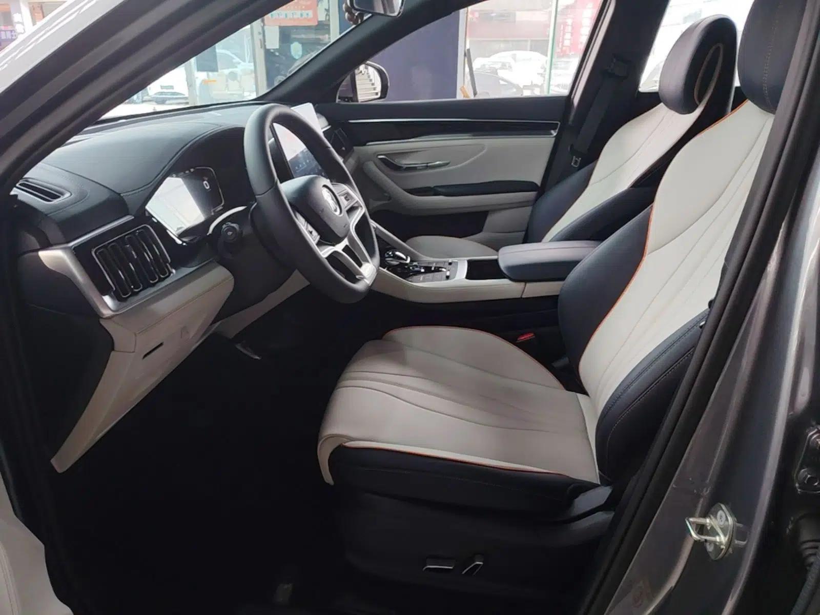 BYD Song PLUS New Energy 2021 EV Deluxe Model — миниатюра 17
