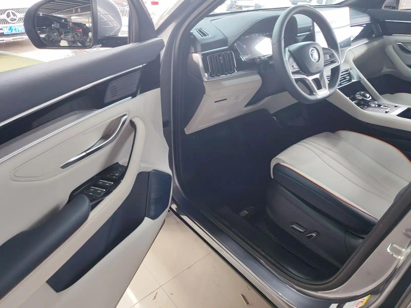 BYD Song PLUS New Energy 2021 EV Deluxe Model — миниатюра 18