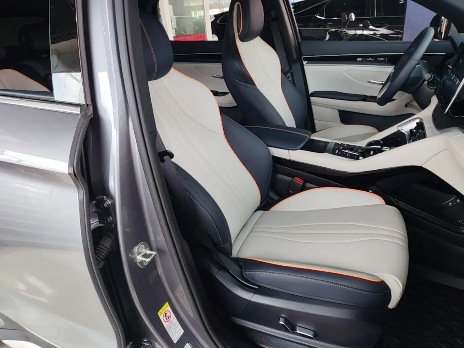 BYD Song PLUS New Energy 2021 EV Deluxe Model — миниатюра 19