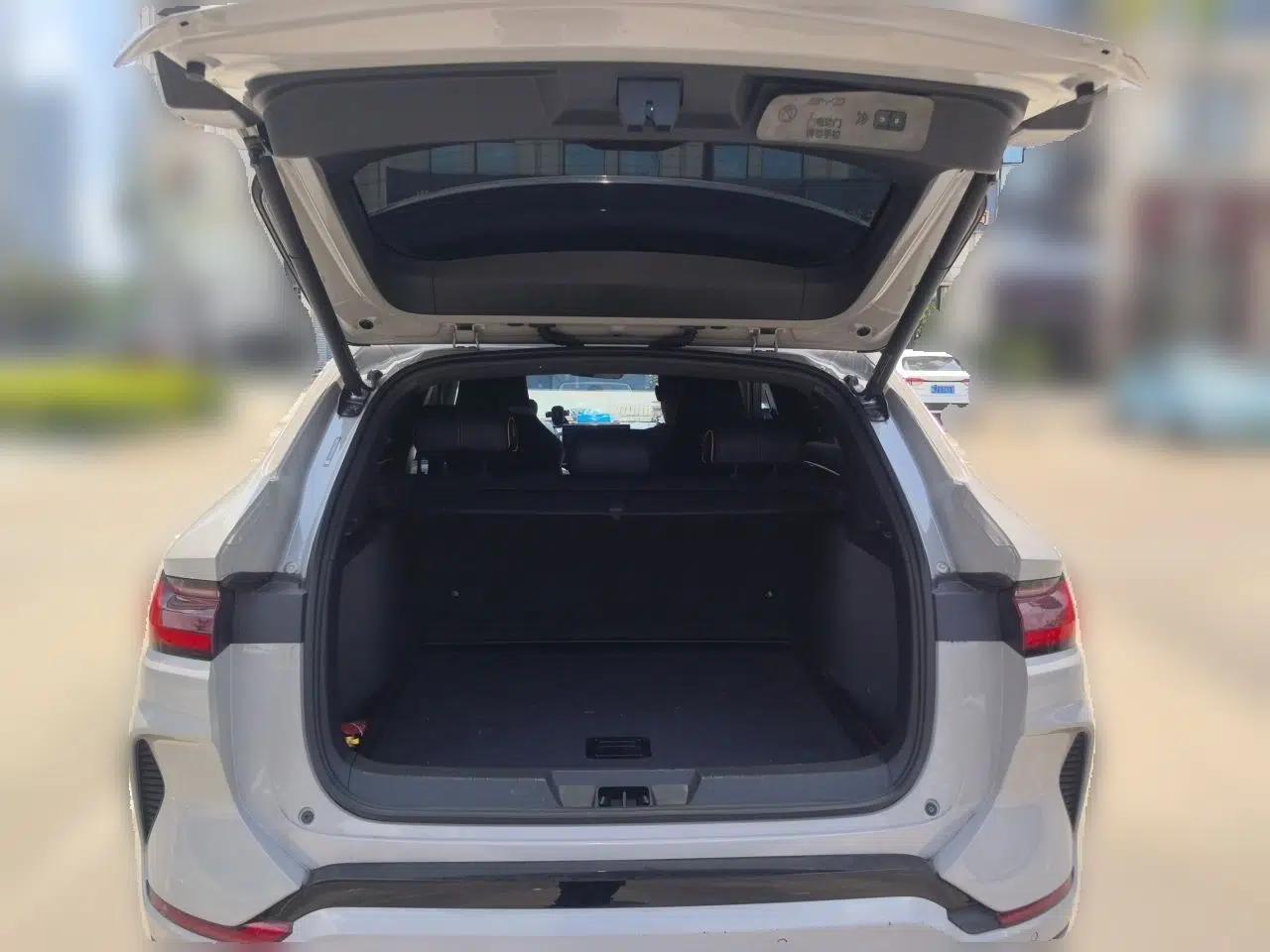 BYD Song PLUS New Energy 2023 Champion Edition DM-i 150KM Flagship PLUS — миниатюра 19