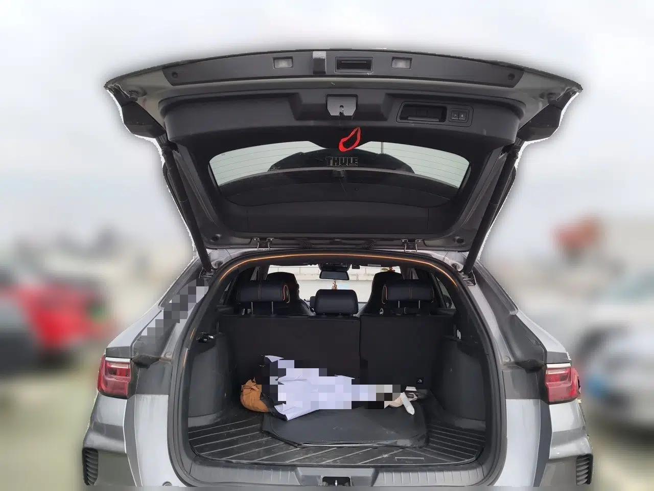BYD Song PLUS New Energy 2021 DM-i 110KM Flagship Model — миниатюра 19