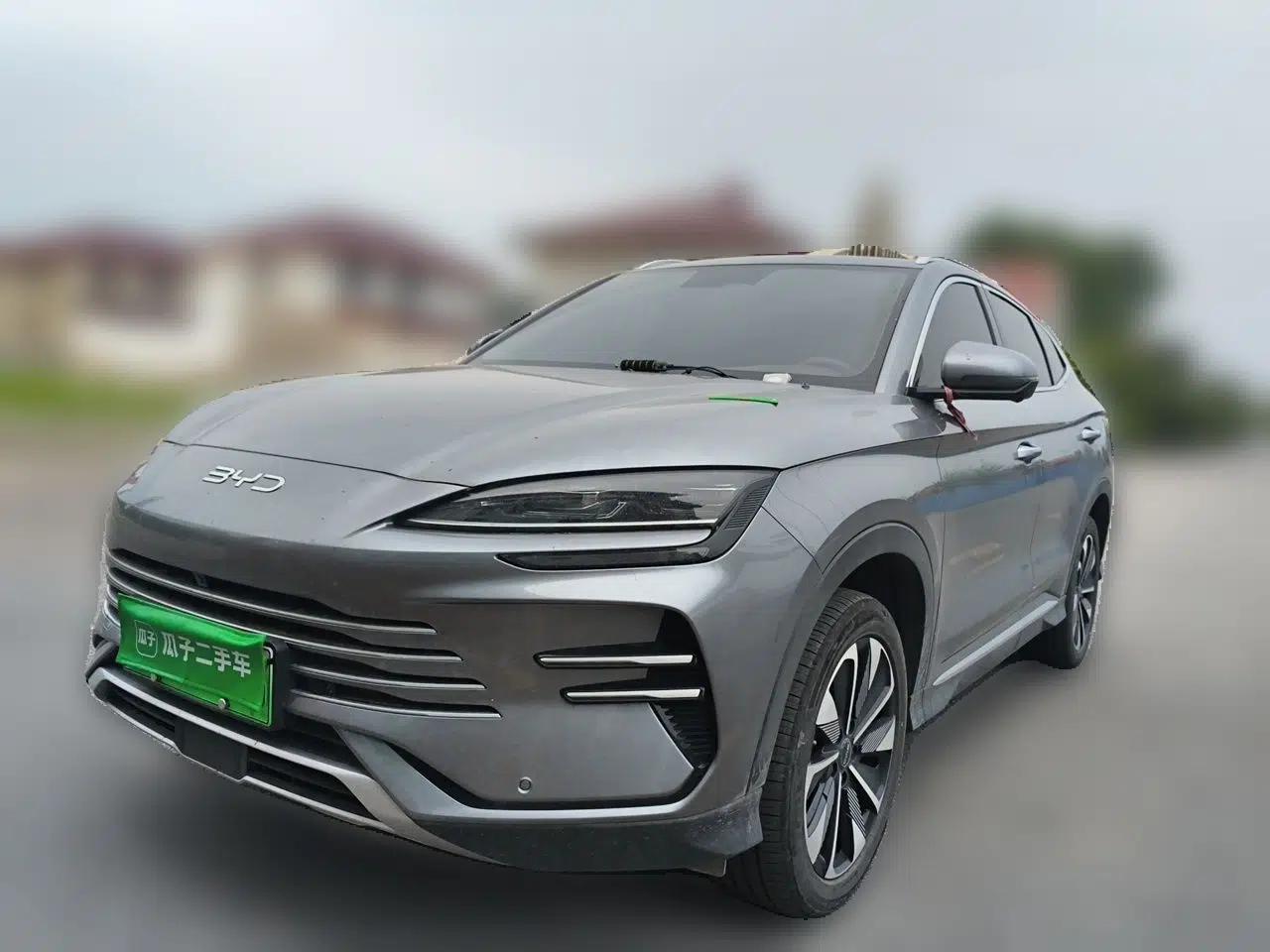 BYD Song PLUS New Energy 2025 DM-i 112KM Prestige Model — миниатюра 1