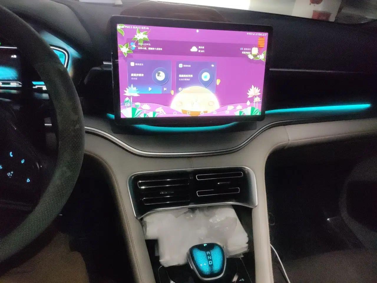 BYD Song PLUS New Energy 2021 DM-i 110KM Flagship Model — миниатюра 13