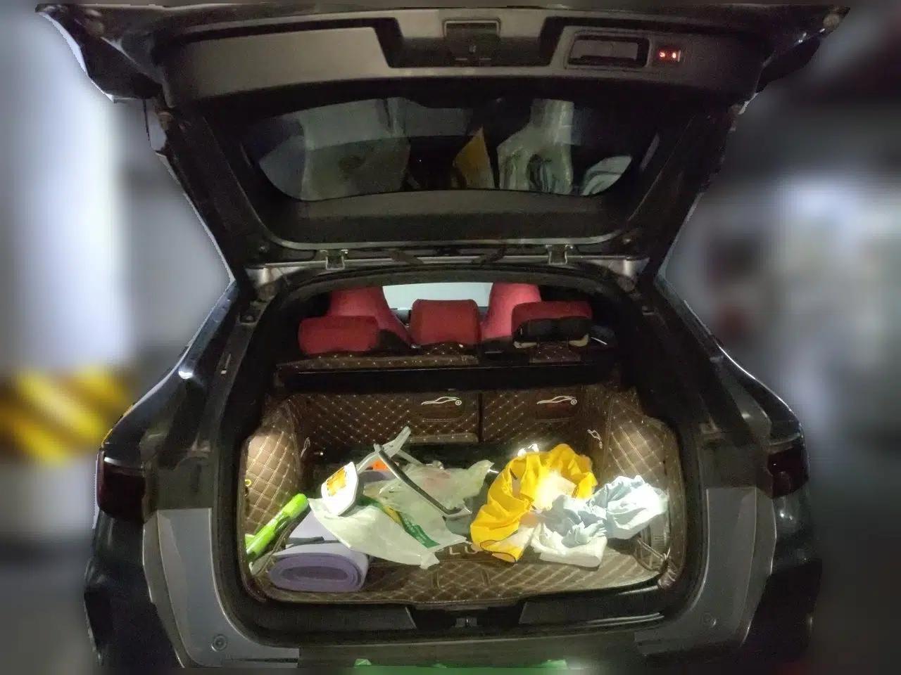 BYD Song PLUS New Energy 2021 DM-i 110KM Flagship Model — миниатюра 19
