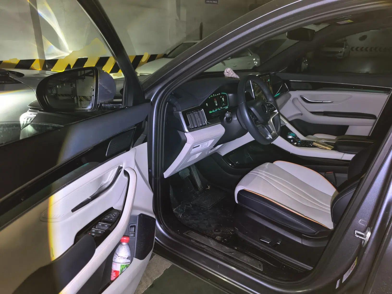 BYD Song PLUS New Energy 2021 DM-i 110KM Flagship PLUS — миниатюра 13