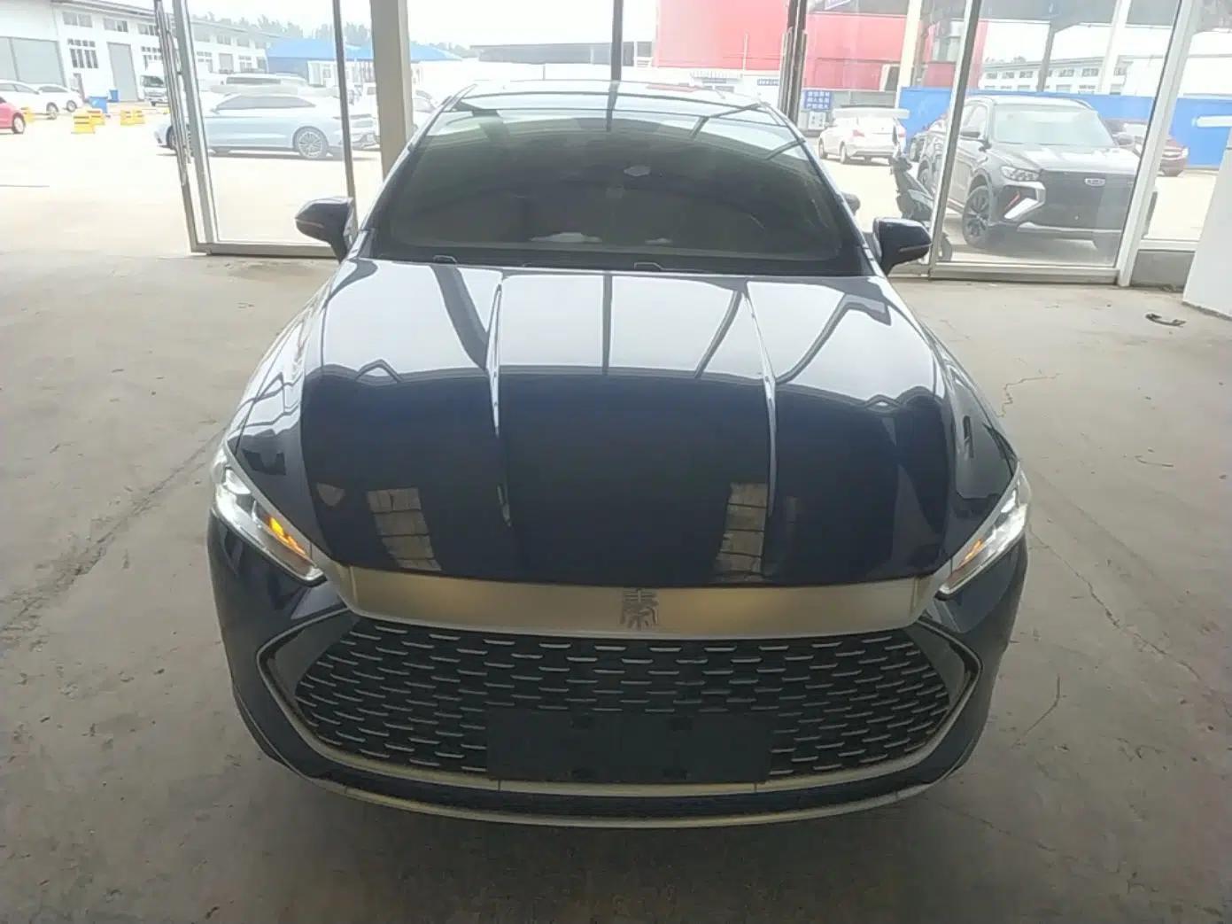 BYD Qin PLUS 2021 DM-i 55KM Flagship Model — миниатюра 2