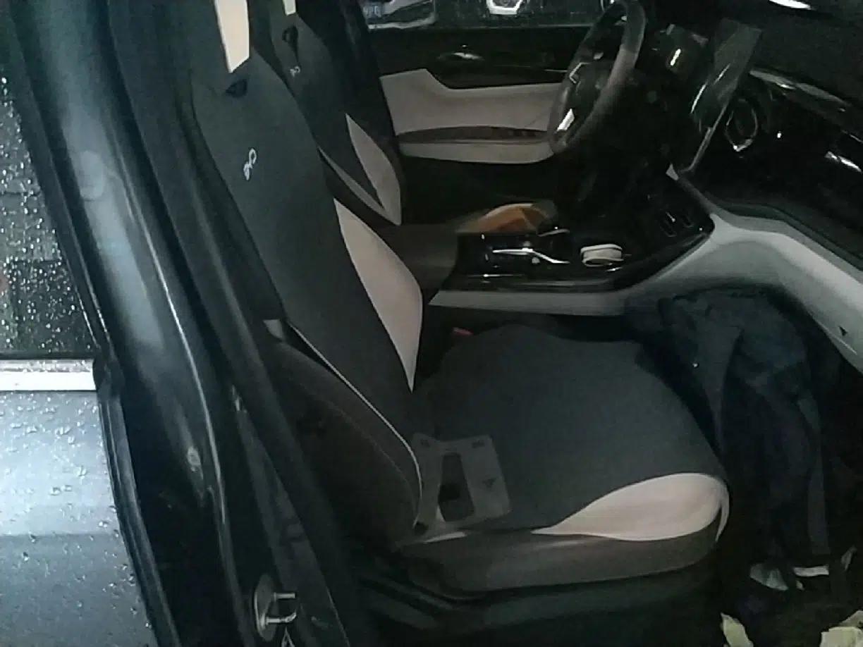 BYD Qin PLUS 2024 HONOR Edition DM-i 55KM Leading Model — миниатюра 19