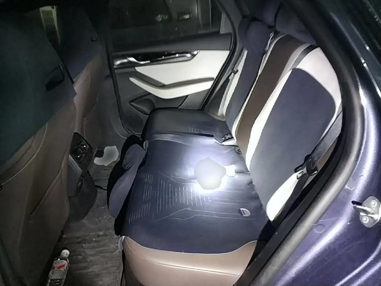 BYD Qin PLUS 2024 HONOR Edition DM-i 55KM Leading Model — миниатюра 20