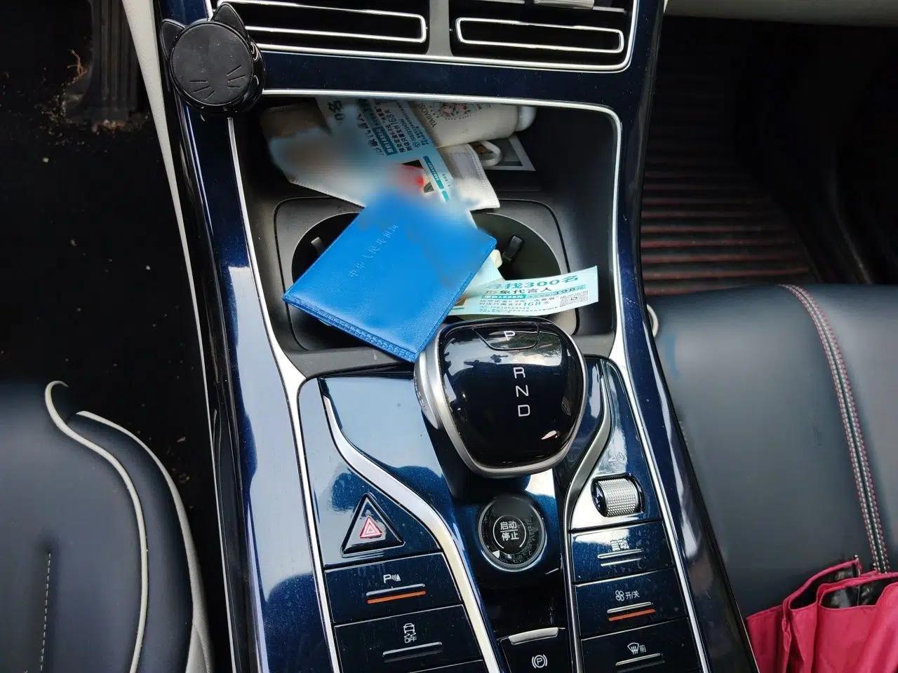 BYD Qin PLUS 2021 DM-i 55KM Flagship Model — миниатюра 13