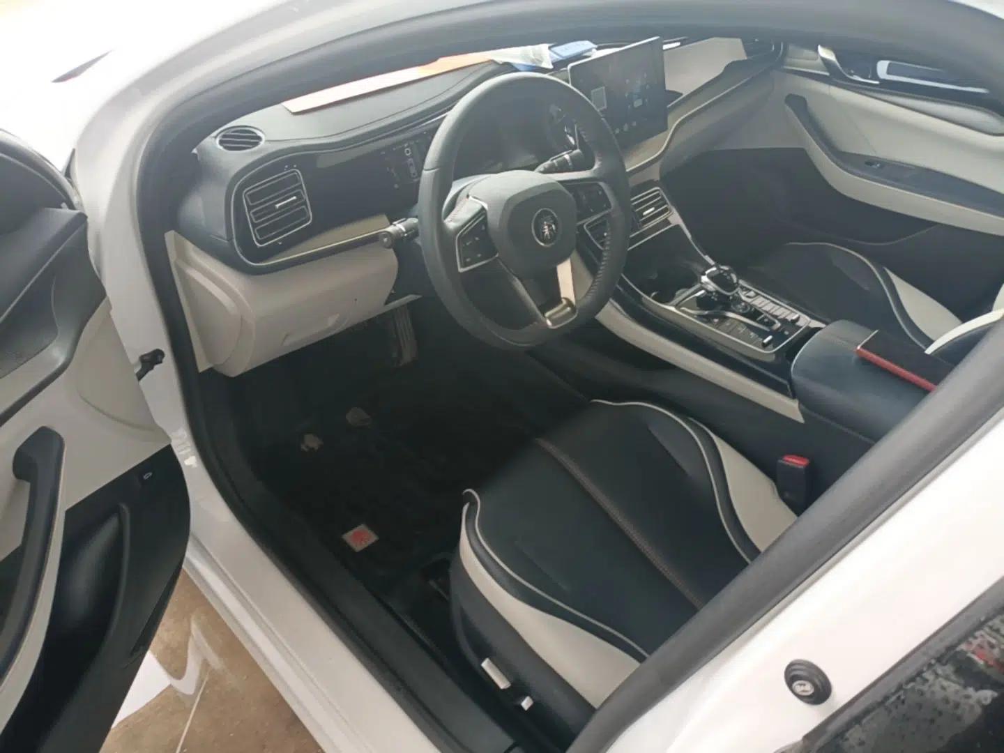 BYD Qin PLUS 2021 DM-i 55KM Flagship Model — миниатюра 18