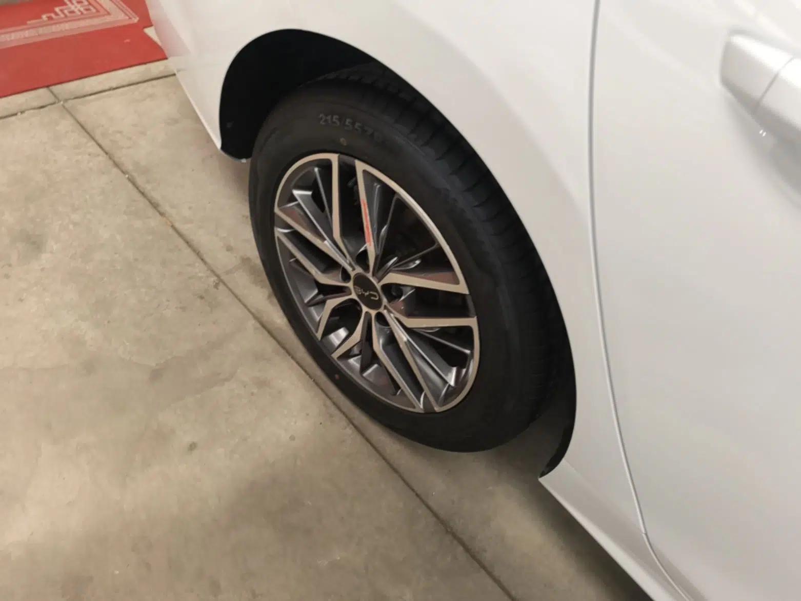 BYD Qin PLUS 2023 Champion Edition DM-i 55KM Superior Model — миниатюра 11
