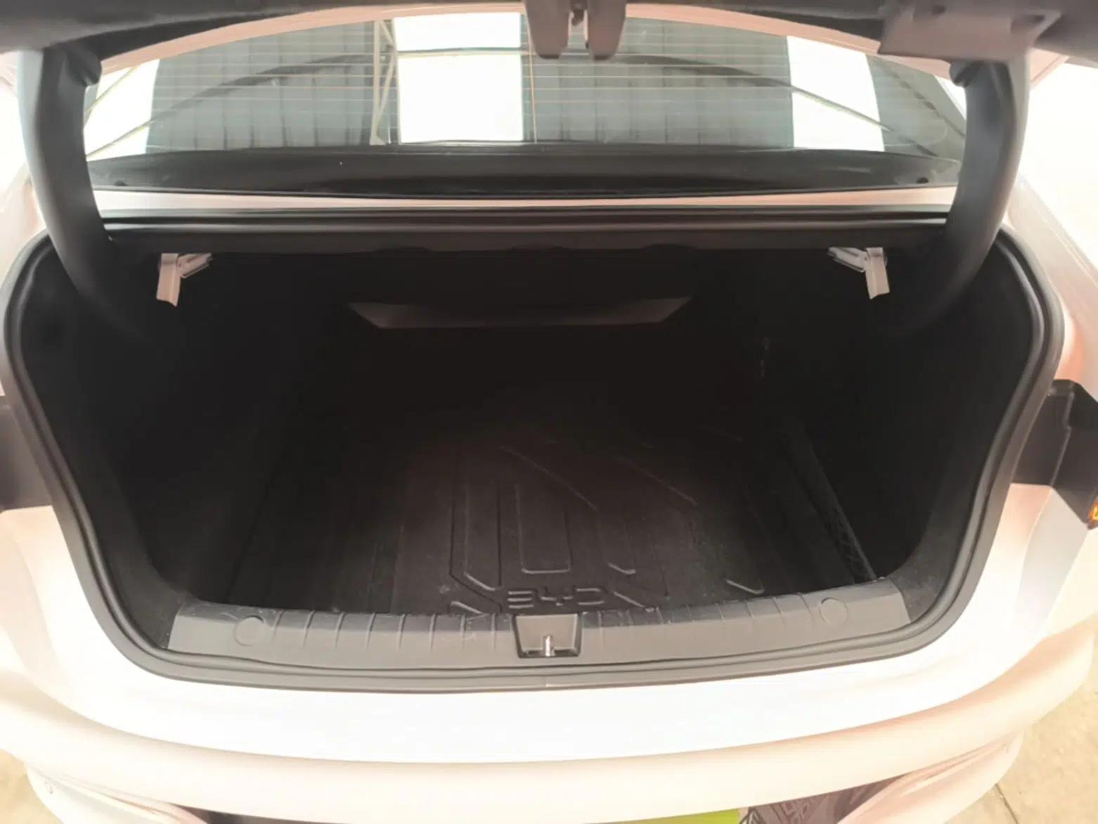 BYD Qin PLUS 2023 Champion Edition DM-i 55KM Superior Model — миниатюра 22
