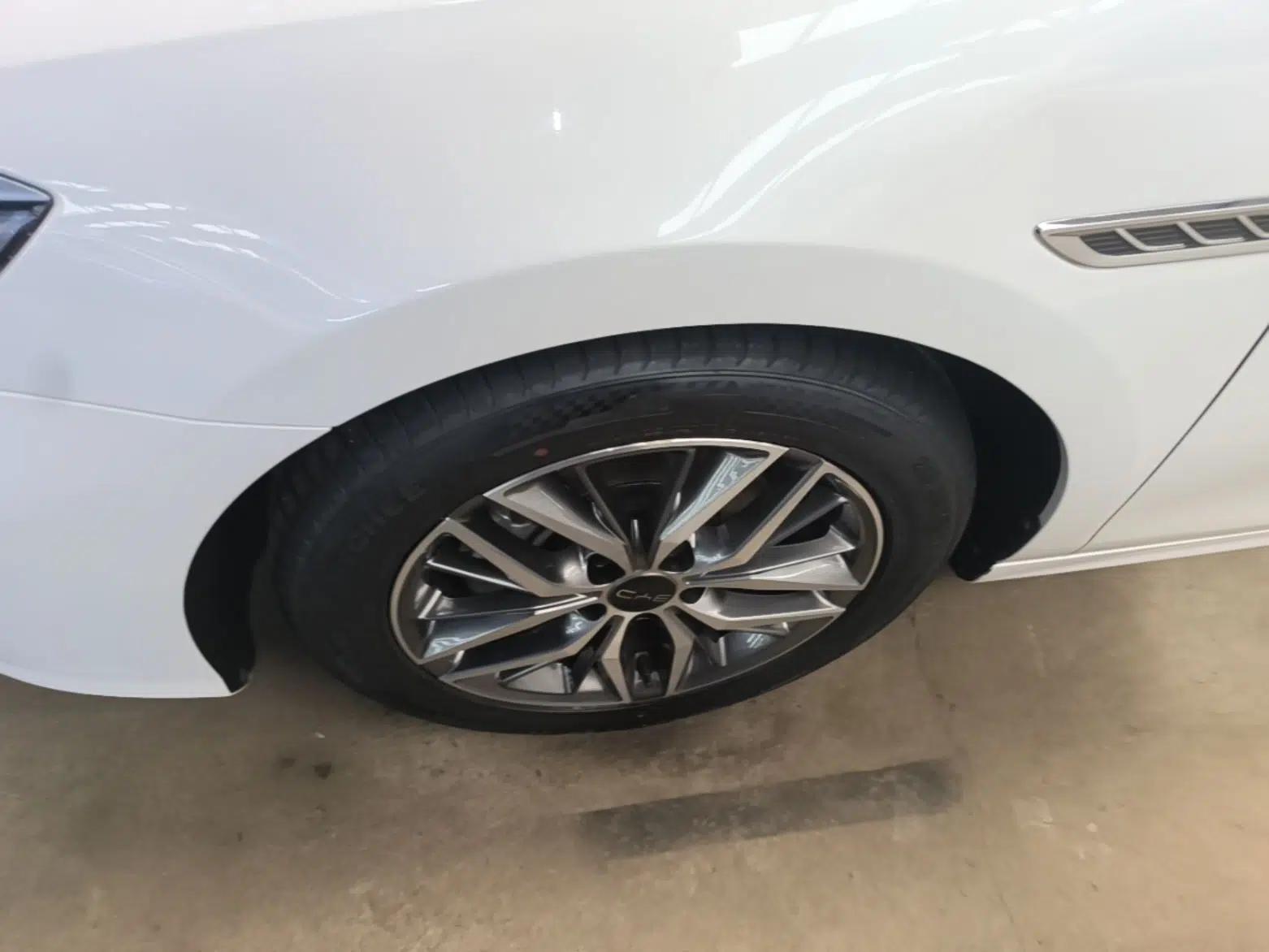 BYD Qin PLUS 2023 Champion Edition DM-i 55KM Superior Model — миниатюра 10