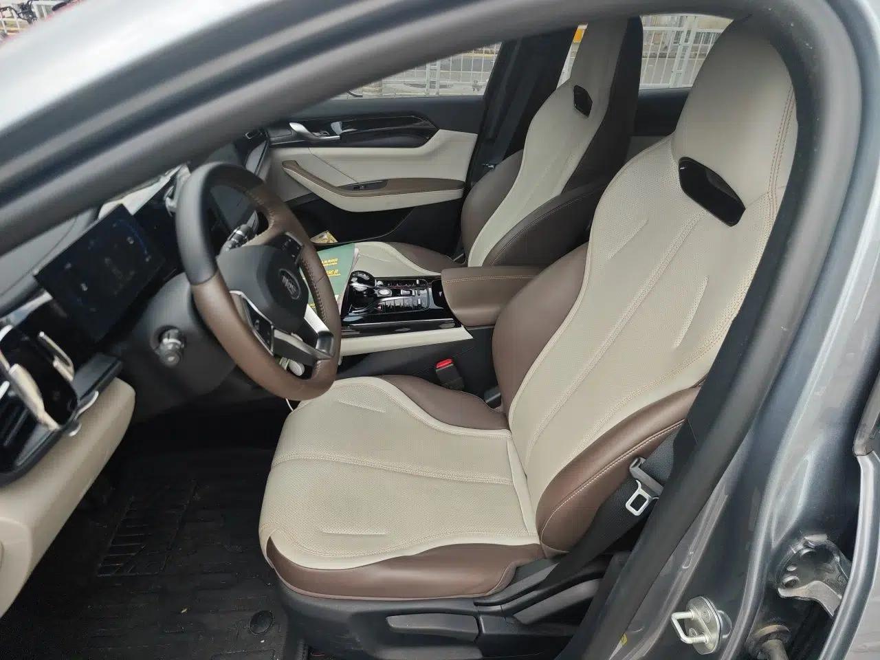 BYD Qin PLUS 2024 HONOR Edition DM-i 55KM Leading Model — миниатюра 15