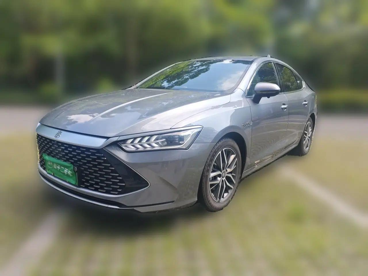 BYD Qin PLUS 2021 DM-i 55KM Flagship Model — миниатюра 1