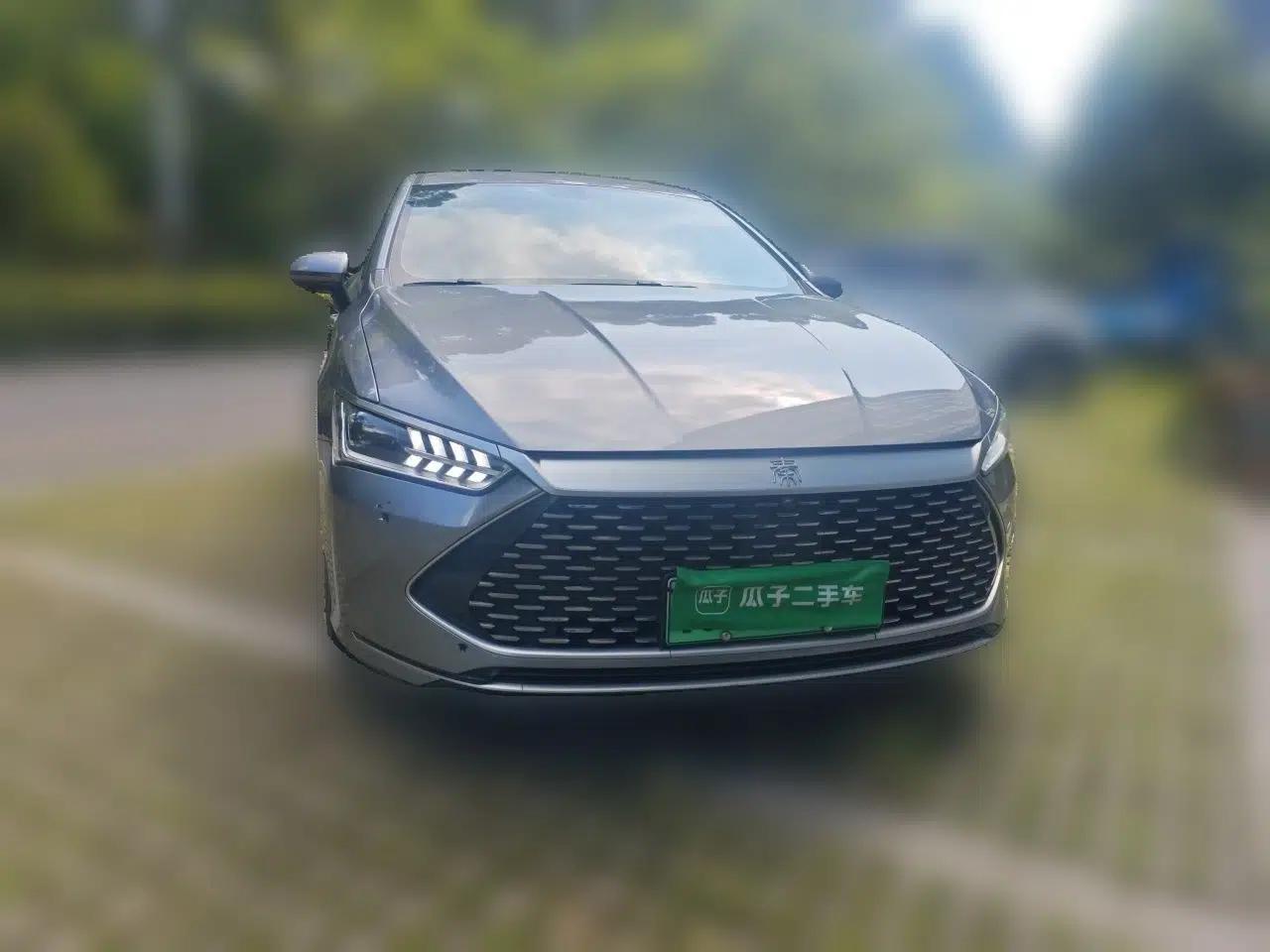 BYD Qin PLUS 2021 DM-i 55KM Flagship Model — миниатюра 2