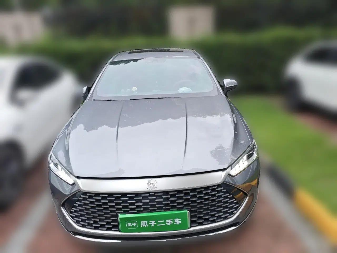 BYD Qin PLUS 2021 DM-i 55KM Flagship Model — миниатюра 2