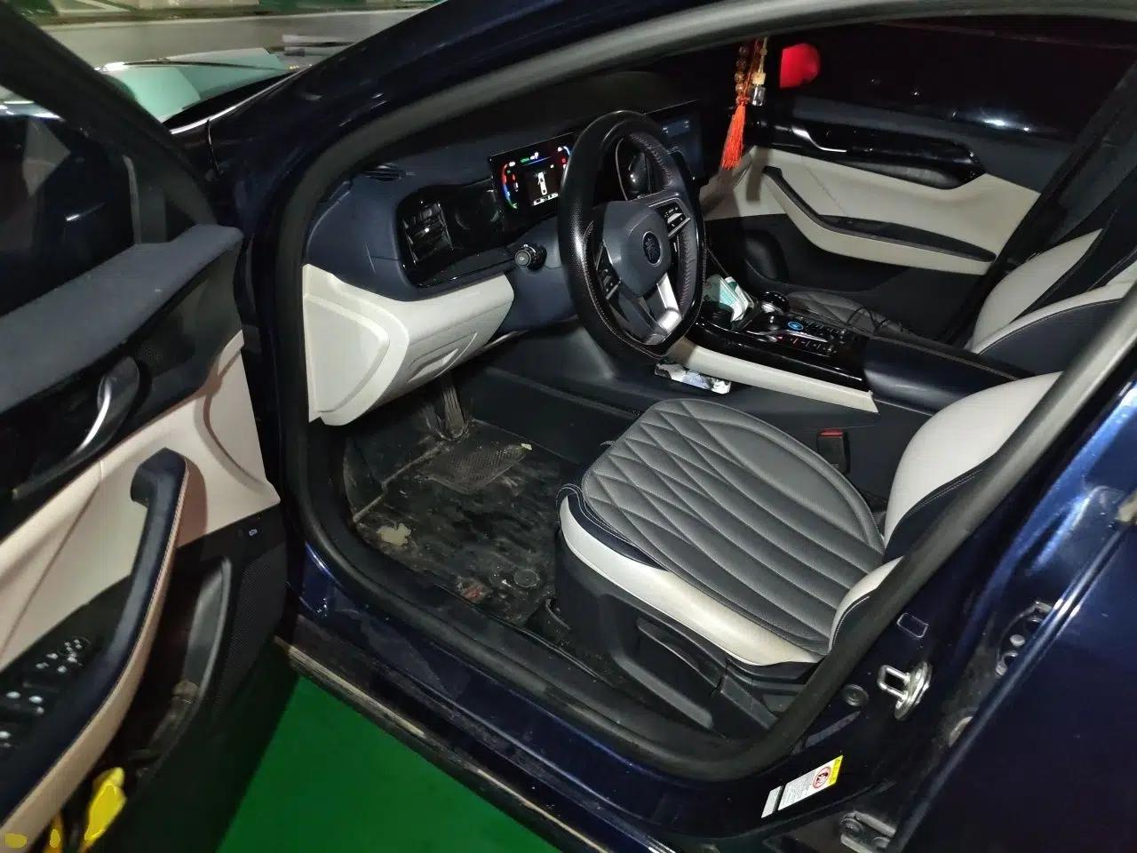 BYD Qin PLUS 2023 Champion Edition DM-i 55KM Leading Model — миниатюра 16