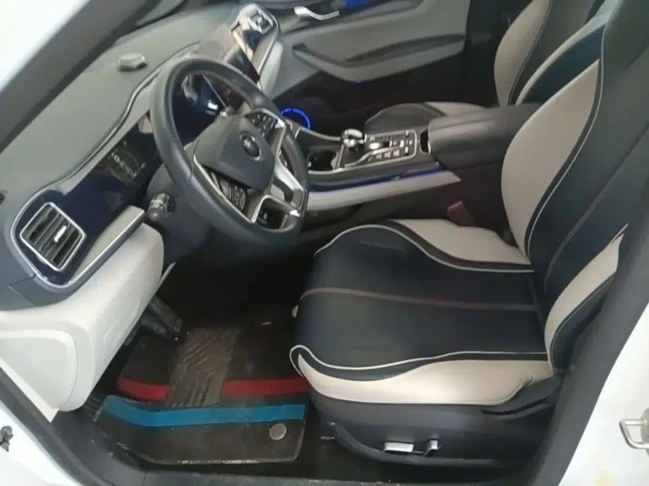 BYD Qin PLUS 2021 EV 500KM Luxury Model — миниатюра 17