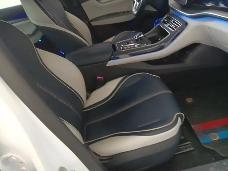 BYD Qin PLUS 2021 EV 500KM Luxury Model — миниатюра 19