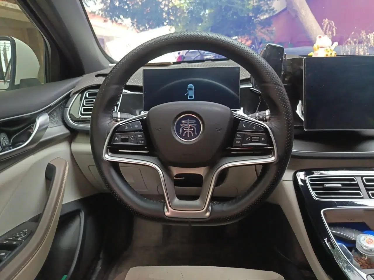 BYD Qin PLUS 2024 Honor Edition EV 510KM Beyond Model — миниатюра 10