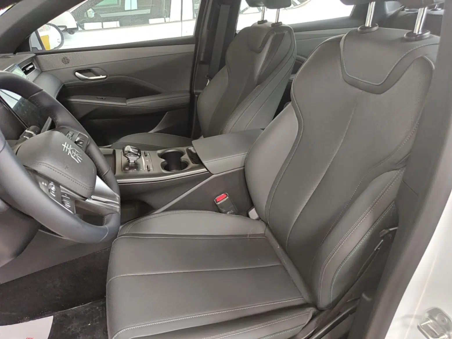BYD Qin PLUS 2025 DM-i Smart Drive 55KM Leading Model — миниатюра 17