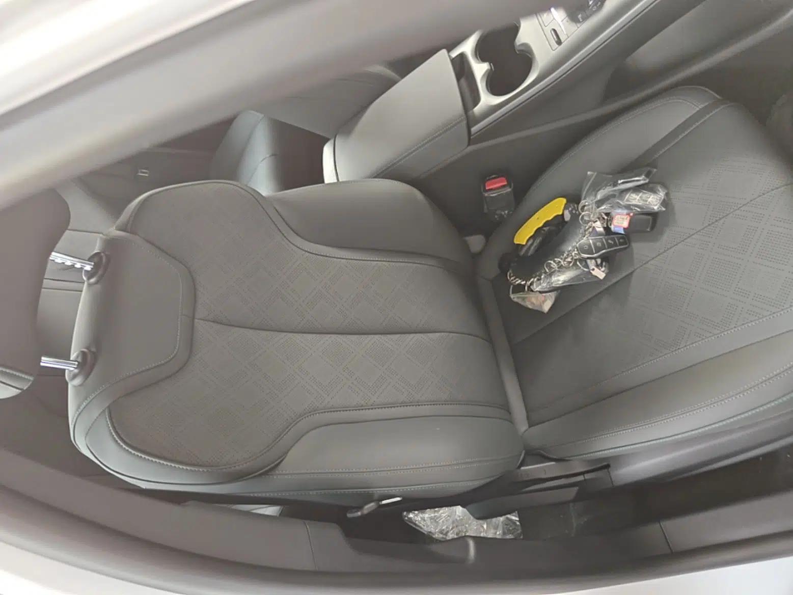 BYD Qin PLUS 2025 DM-i Smart Drive 55KM Leading Model — миниатюра 19