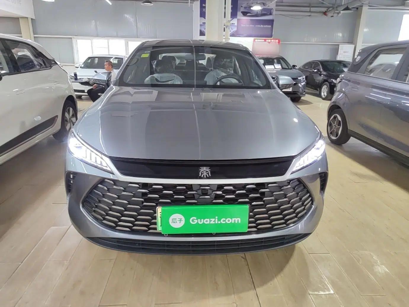 BYD Qin PLUS 2026 DM-i 128KM Progressive Model — миниатюра 2