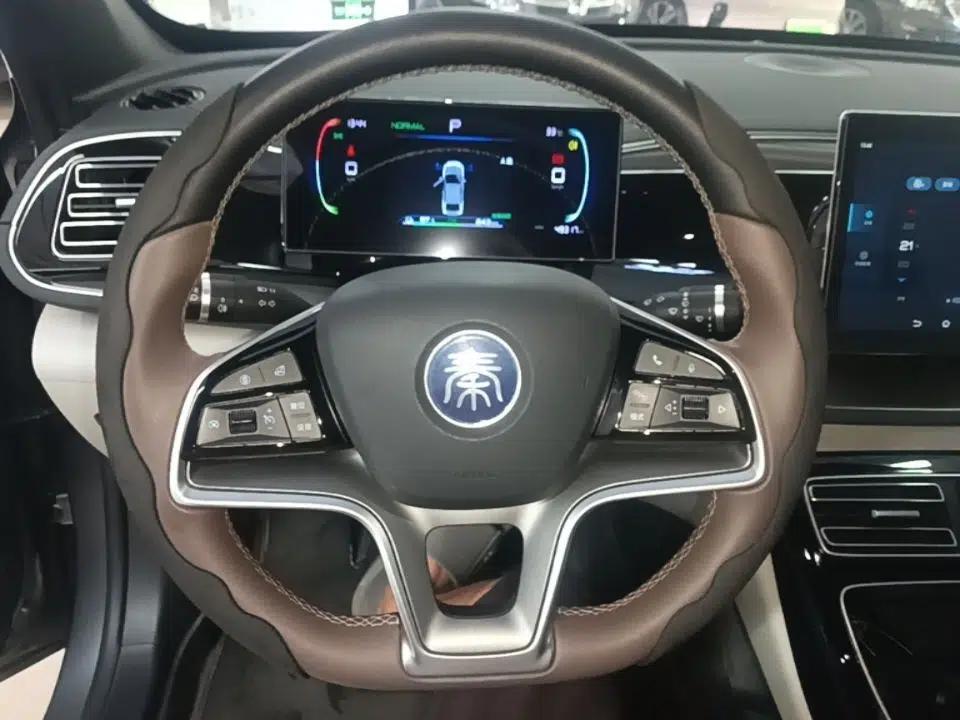 BYD Qin PLUS 2023 Champion Edition EV 420KM Superior Model — миниатюра 13