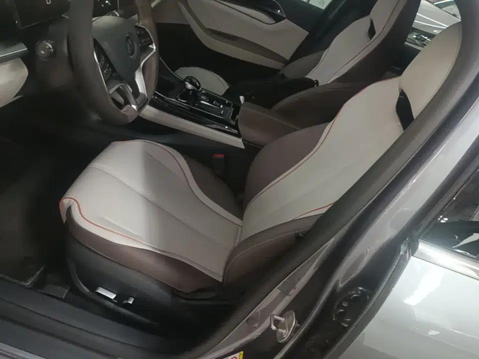 BYD Qin PLUS 2023 Champion Edition EV 420KM Superior Model — миниатюра 17