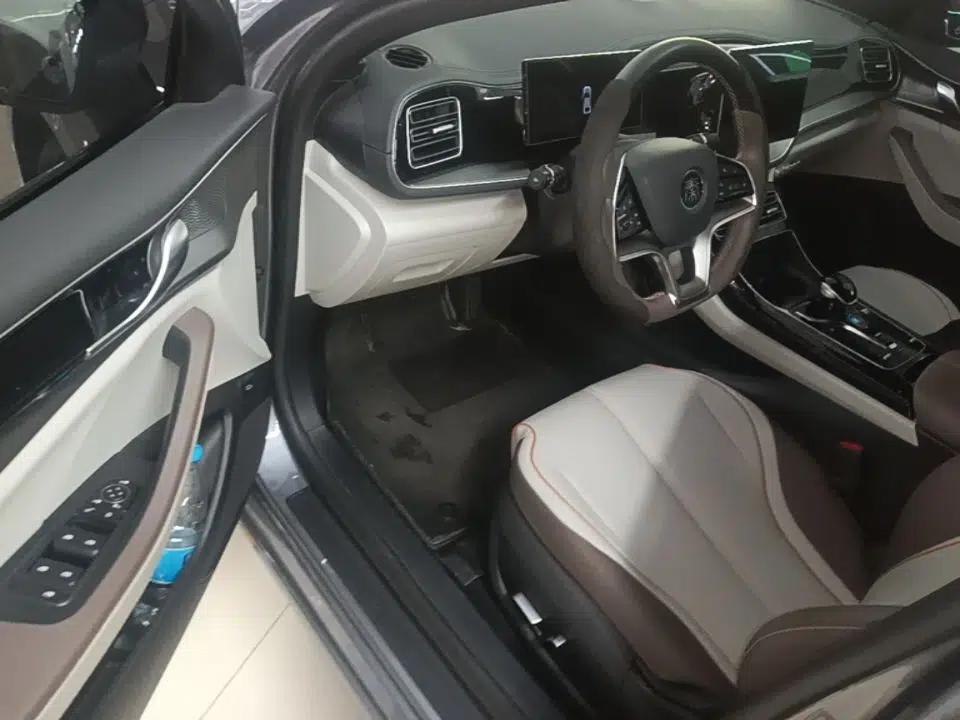 BYD Qin PLUS 2023 Champion Edition EV 420KM Superior Model — миниатюра 18