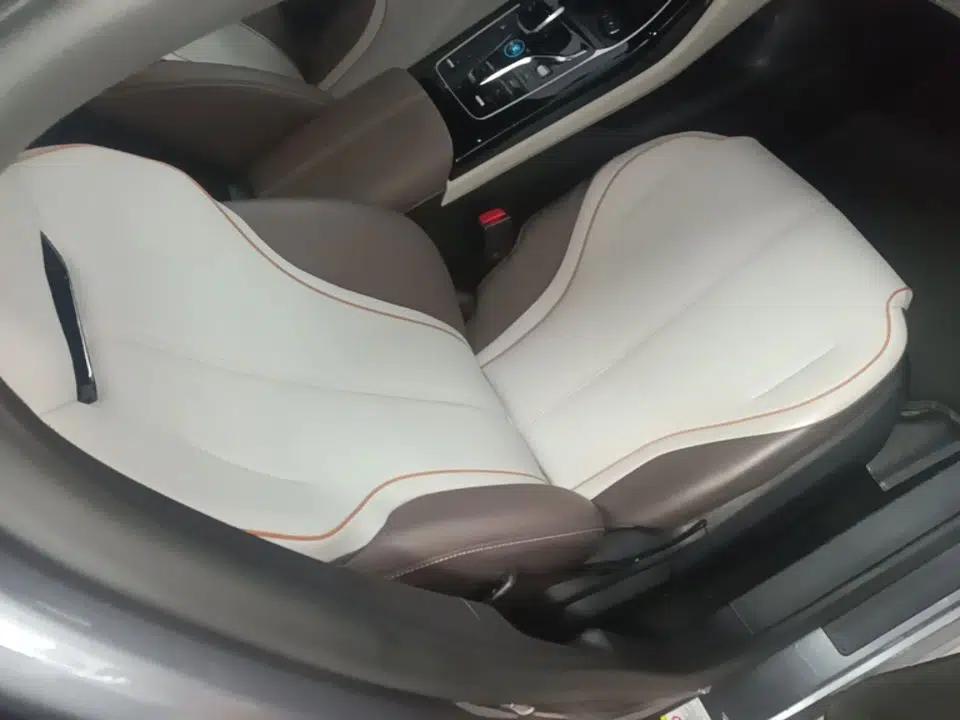 BYD Qin PLUS 2023 Champion Edition EV 420KM Superior Model — миниатюра 19