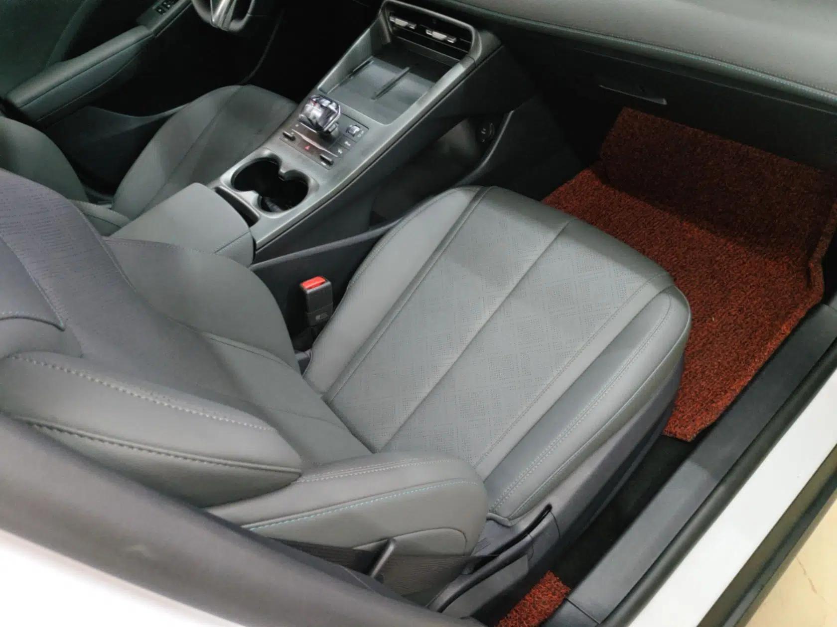 BYD Qin PLUS 2025 DM-i Smart Drive 55KM Leading Model — миниатюра 19