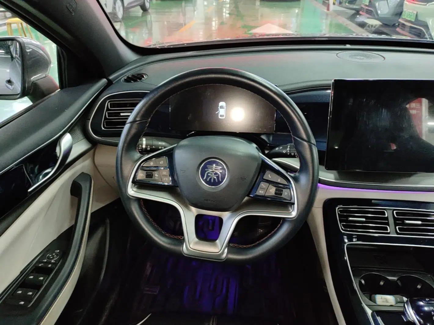 BYD Qin PLUS 2023 Champion Edition EV 510KM Excellence Model — миниатюра 13