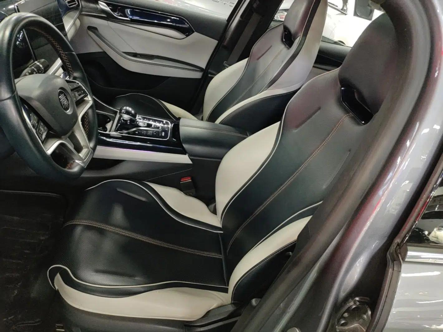 BYD Qin PLUS 2023 Champion Edition EV 510KM Excellence Model — миниатюра 17