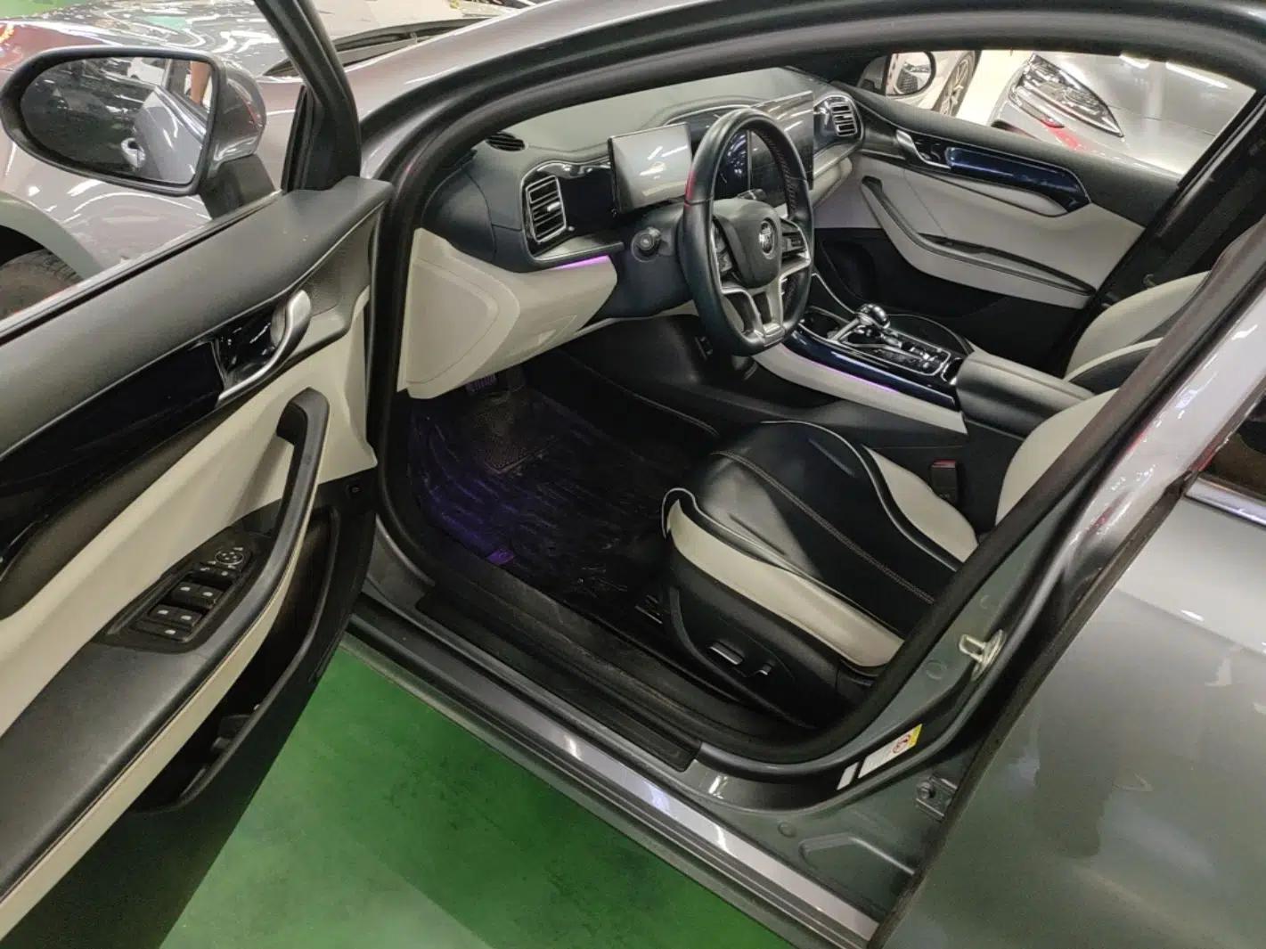 BYD Qin PLUS 2023 Champion Edition EV 510KM Excellence Model — миниатюра 18