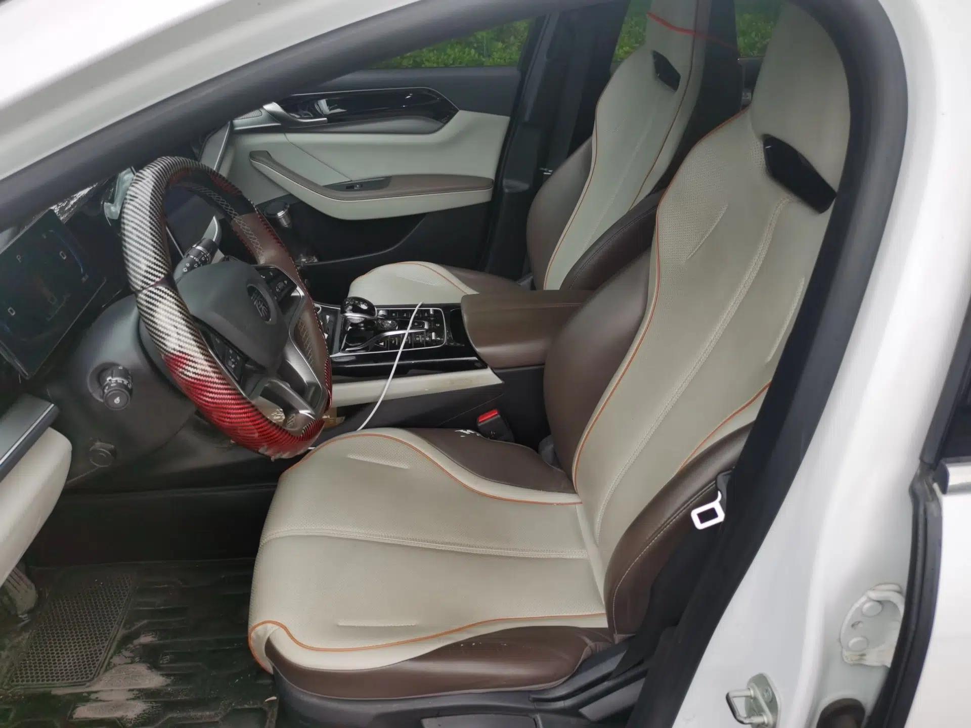 BYD Qin PLUS 2023 Champion Edition EV 510KM Leading Model — миниатюра 15