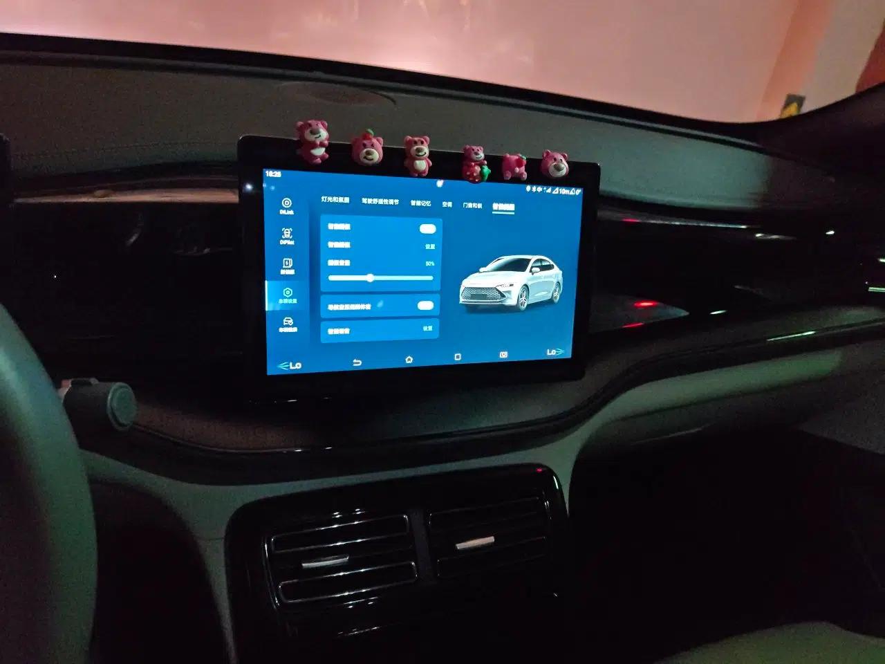 BYD Qin PLUS 2023 Champion Edition DM-i 55KM Leading Model — миниатюра 13