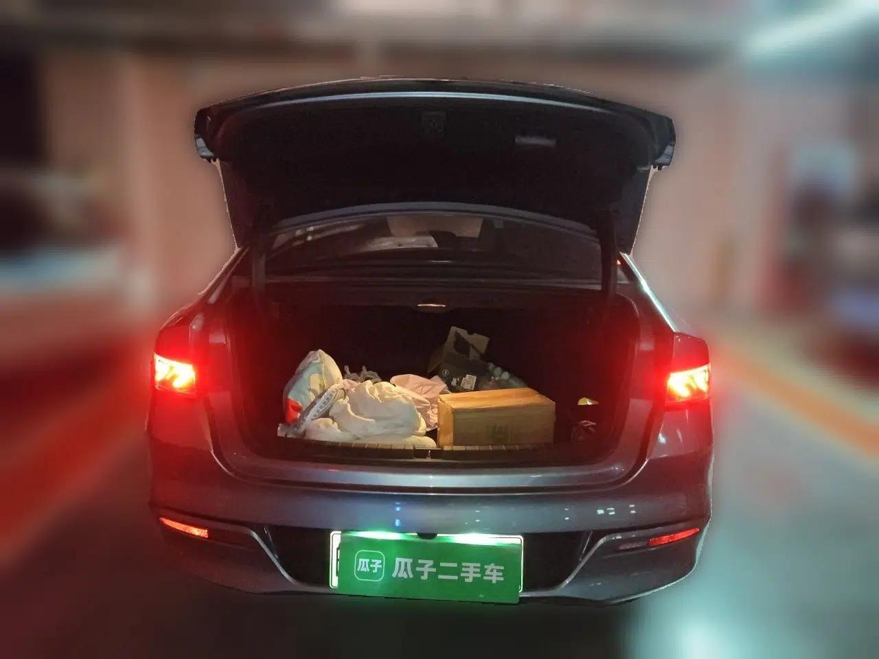 BYD Qin PLUS 2023 Champion Edition DM-i 55KM Leading Model — миниатюра 19