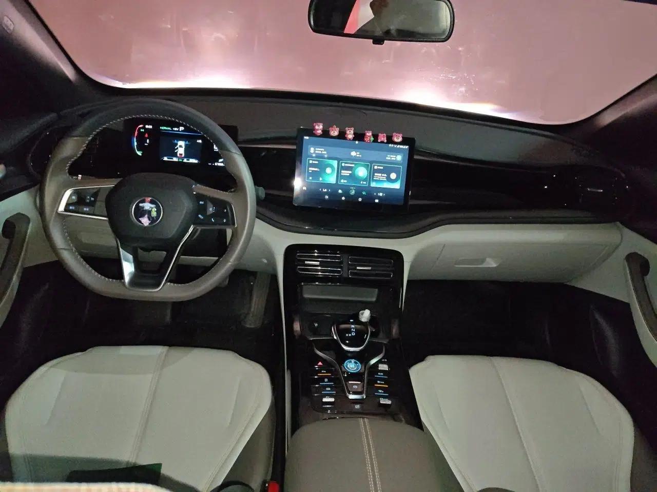 BYD Qin PLUS 2023 Champion Edition DM-i 55KM Leading Model — миниатюра 9