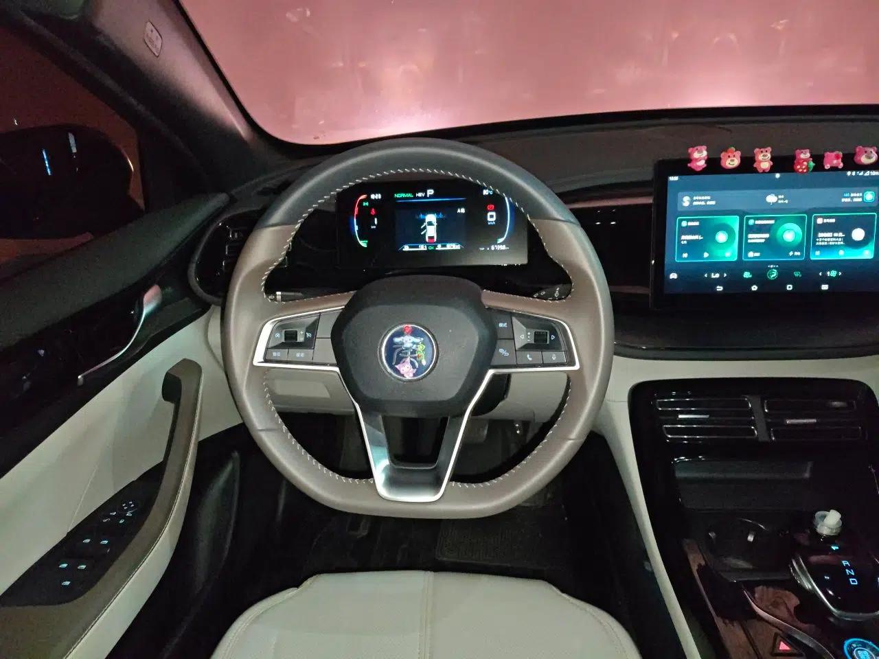 BYD Qin PLUS 2023 Champion Edition DM-i 55KM Leading Model — миниатюра 10