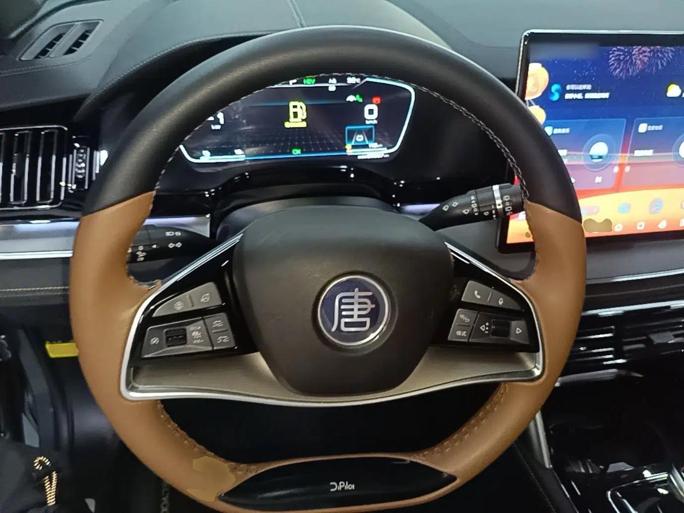 BYD Tang New Energy 2021 DM-i 112KM Prestige Model — миниатюра 13