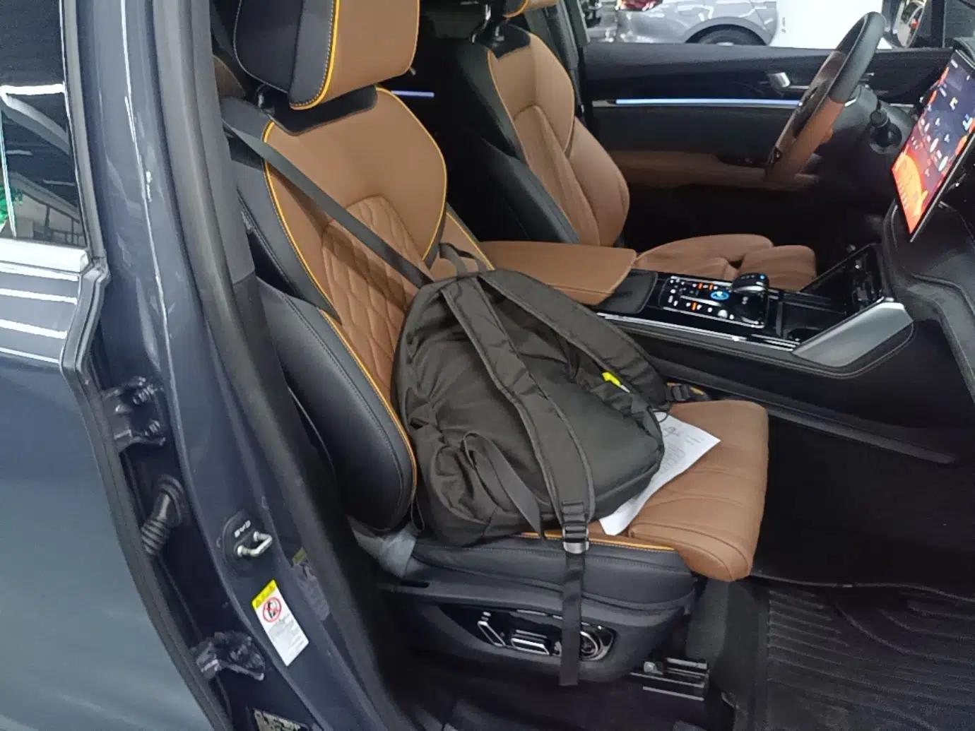 BYD Tang New Energy 2021 DM-i 112KM Prestige Model — миниатюра 19