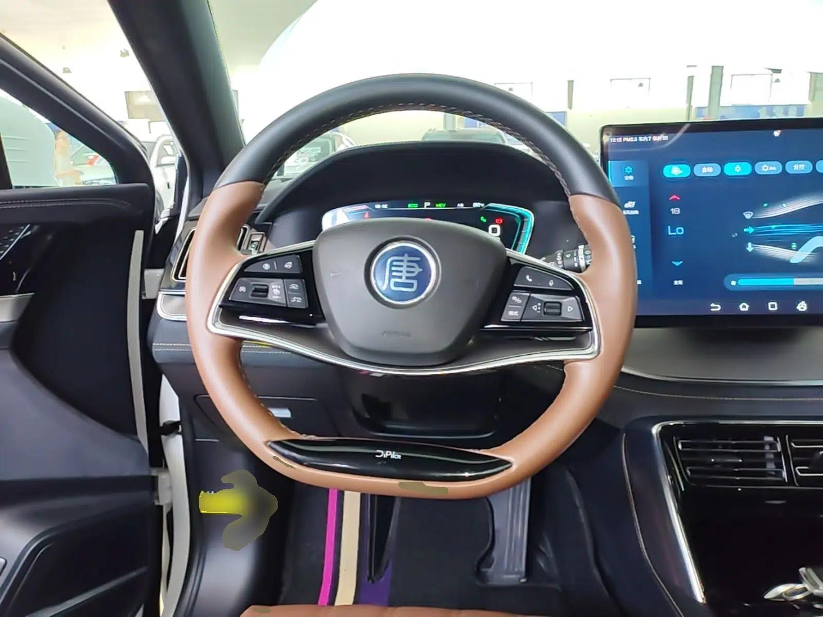 BYD Tang New Energy 2021 DM-i 112KM Prestige Model — миниатюра 13