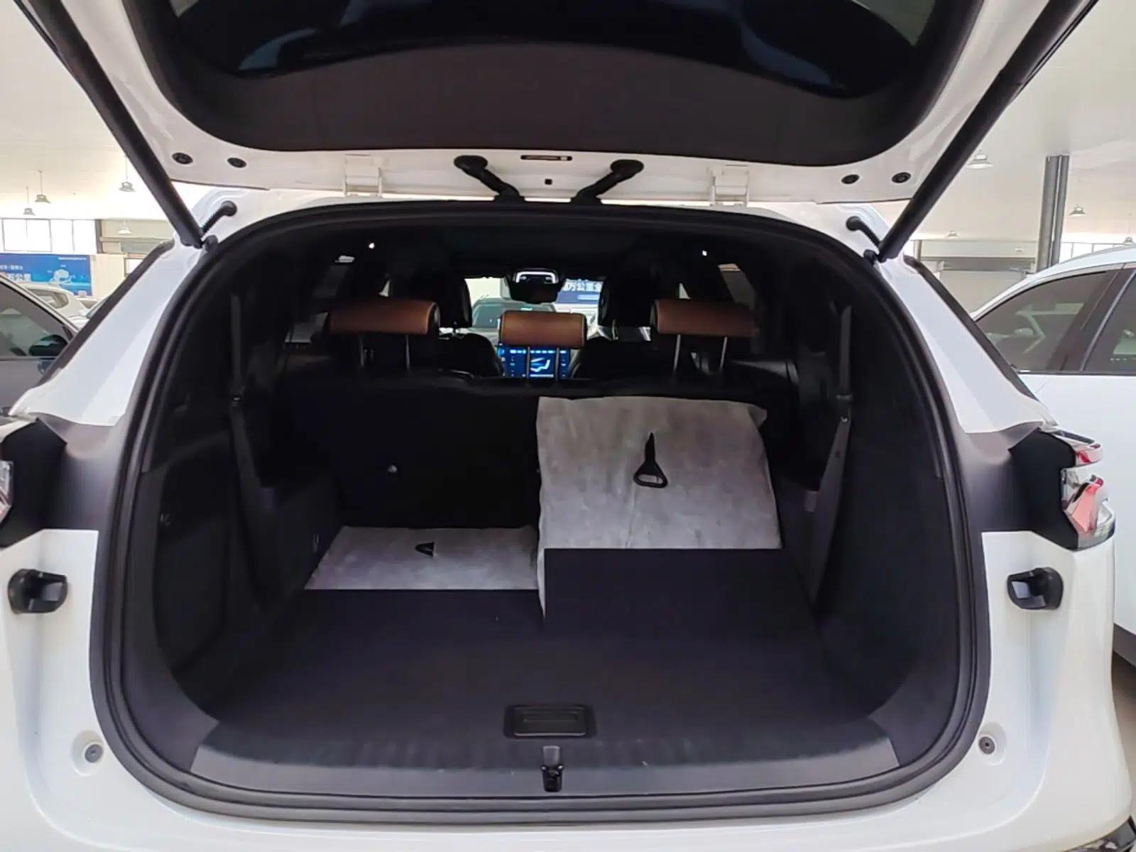 BYD Tang New Energy 2021 DM-i 112KM Prestige Model — миниатюра 22