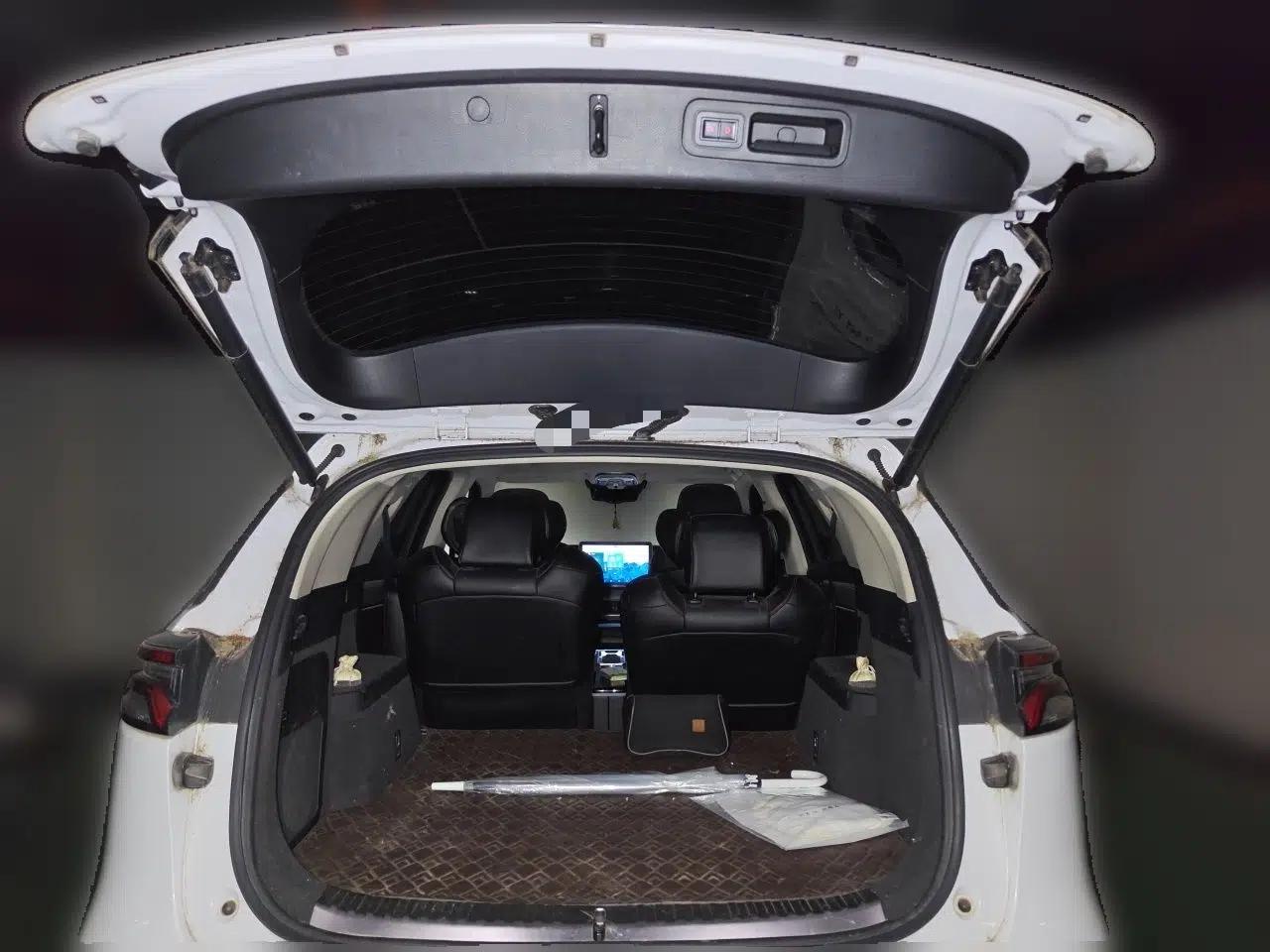 BYD Tang New Energy 2019 EV600D Four-Wheel Drive Smart Connect Genesis Edition — миниатюра 15