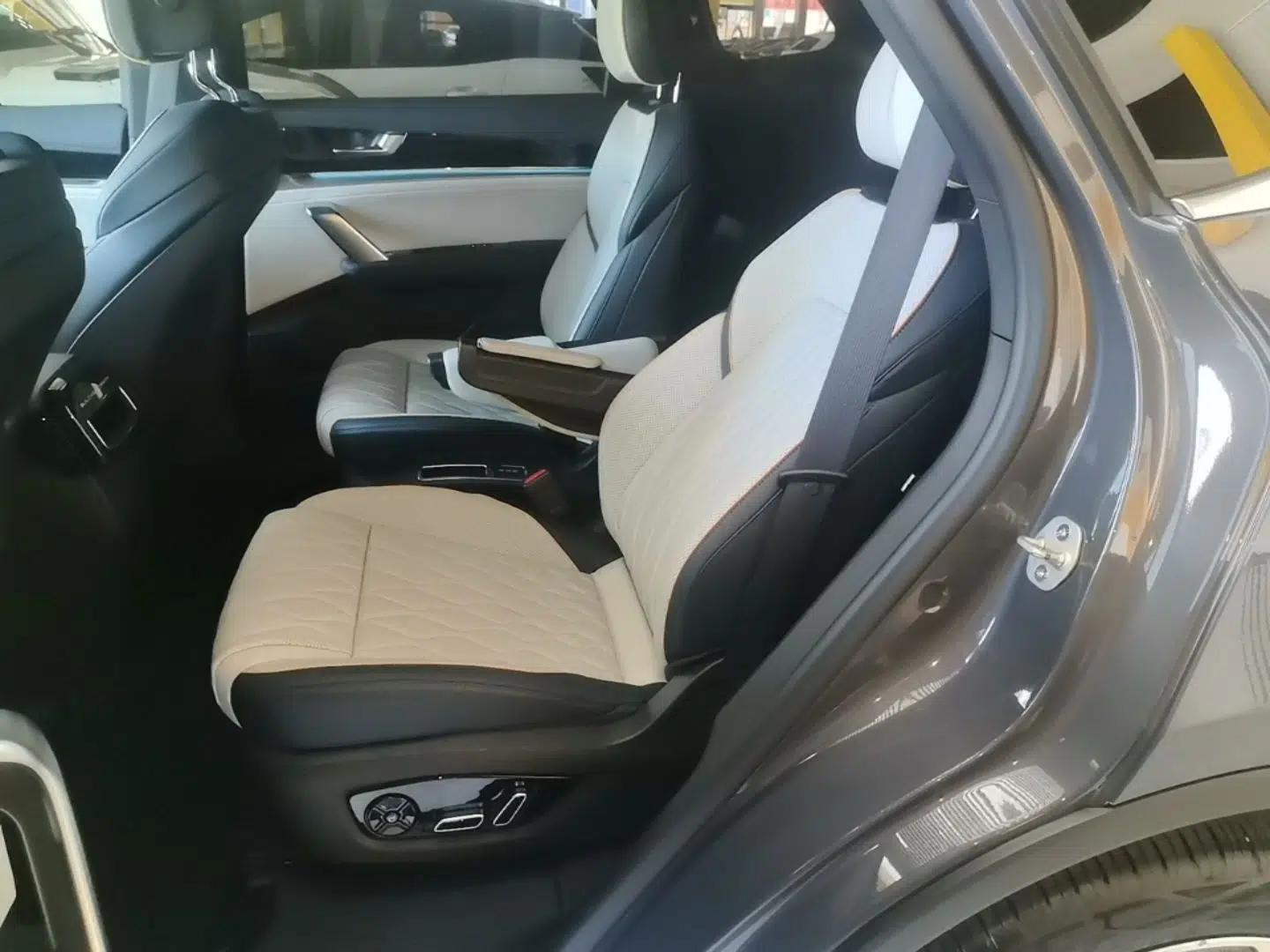 BYD Tang New Energy 2022 DM-p 215KM Four-Wheel Drive Flagship Model — миниатюра 20