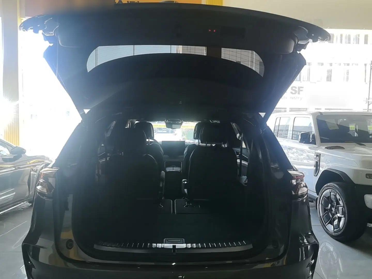 BYD Tang New Energy 2022 DM-p 215KM Four-Wheel Drive Flagship Model — миниатюра 22