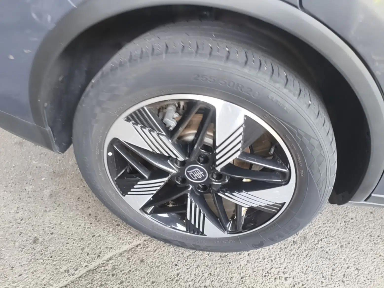BYD Tang New Energy 2024 DM-i Glory Edition 112KM Prestige Model — миниатюра 11