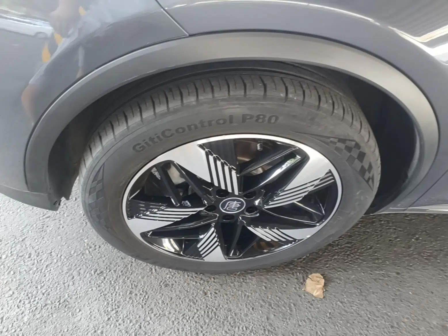 BYD Tang New Energy 2024 DM-i Glory Edition 112KM Prestige Model — миниатюра 10